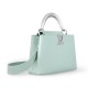 LV Capucines BB handbag M21149 LV Capucines BB handbag M21149