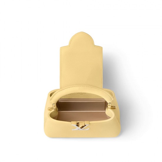 LV Capucines Mini handbag M21798 LV Capucines Mini handbag M21798