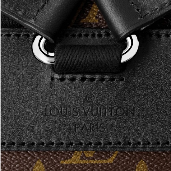 LV Backpack Christopher MM monogram Macassar Canvas M43735