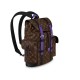 LV Backpack Christopher PM M46247 LV Backpack Christopher PM M46247