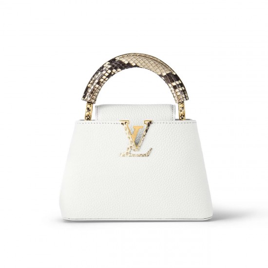 LV Capucines Mini handbag N98477 LV Capucines Mini handbag N98477