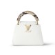 LV Capucines Mini handbag N98477