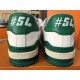 LOUIS VUITTON LV Trainer White Green LOUIS VUITTON LV Trainer White Green