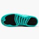 Nike AIR JORDAN 12 GS "HYPER JADE" 510815-017 Nike AIR JORDAN 12 GS "HYPER JADE" 510815-017