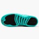 Nike AIR JORDAN 12 GS "HYPER JADE" 510815-017