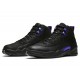 AIR JORDAN 12 RETRO 'DARK CONCORD' CT8013-005