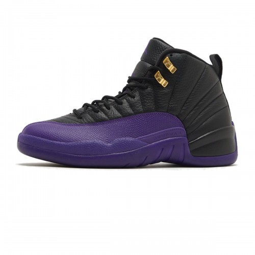 I still like to pretend these shoes dont exist RETRO 'FIELD PURPLE' 2023 CT8013-057