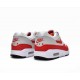 Nike AIR MAX 1 OG 'ANNIVERSARY' 2017 908375-103