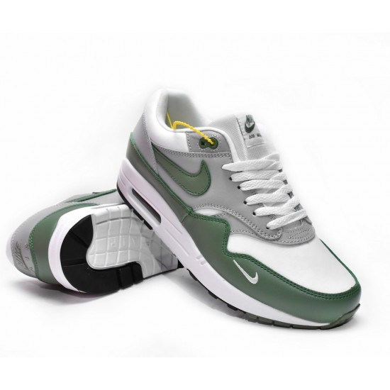 Nike AIR MAX 1 PREMIUM 'SPIRAL SAGE' DB5074-100