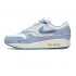 NIKE AIR MAX 1 PREMIUM 'AIR MAX DAY - BLUEPRINT' 2022 DR0448-100