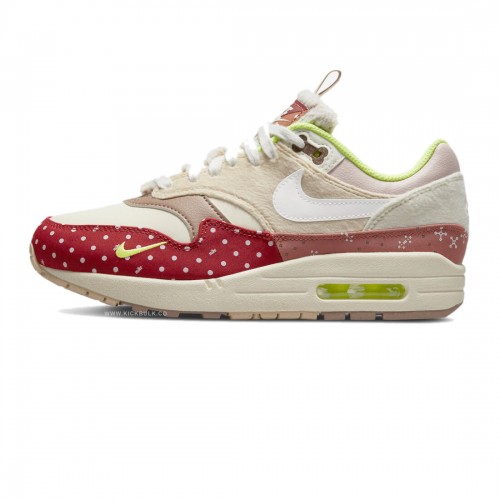 NIKE AIR MAX 1 PRM WOMANS BEST FRIEND WMNS DR2553 111 1 500x500