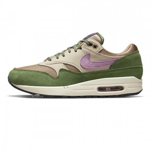 Nike Air Max 1 NH Treeline DR9773 300 1 500x500