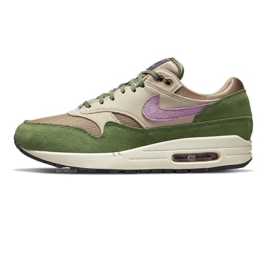 Nike Air Max 1 NH 'Treeline' 2022 DR9773-300