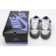 Nike SB Dunk Low Pro Purple Pigeon 304292-051