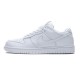 Nike SB Dunk Low Pro All White 304292-100