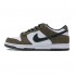 Nike SB Dunk Low Pro 'Tail End' 304292-102