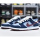 FTC X DUNK LOW PREMIUM SB 'FINALLY' 313170-463