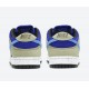 Nike DUNK LOW SB 'ACG CELADON' BQ6817-301