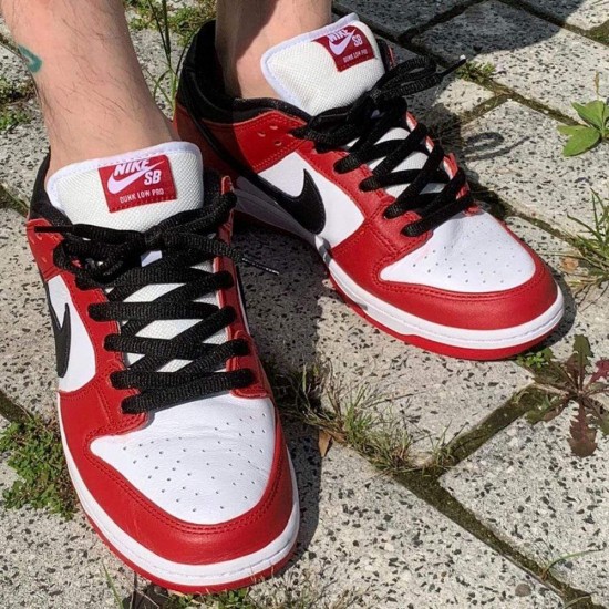 jordan chicago dunk