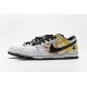 Nike SB Dunk Low Pro QS Tie-Dye Rayguns BQ6832-101