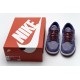 Nike SB Dunk Low Plum CU1726-500