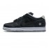 Medicom x Nike SB Dunk Low 'BE@RBRICK' CZ5127-001