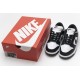 Nike SB Dunk Low Pro Black White DD1391-100