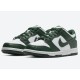 Nike DUNK LOW 'MICHIGAN STATE' DD1391-101