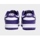 NIKE DUNK LOW 'CHAMPIONSHIP PURPLE' 2022 DD1391-104