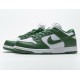 Nike Dunk Low SP White Green DD1391-300 Nike Dunk Low SP White Green DD1391-300