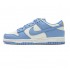 Nike SB Dunk Low Coast Blue DD1503-100