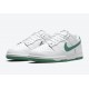 NIKE DUNK LOW WMNS 'GREEN NOISE' DD1503-112