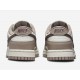 NIKE DUNK LOW 'DIFFUSED TAUPE' WMNS 2023 DD1503-125