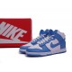 Nike Dunk High Aluminum DD1869-107