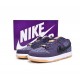 Nike Dunk Low N7 DN1441-500 Nike Dunk Low N7 DN1441-500