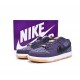 Nike Dunk Low N7 DN1441-500