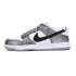 Nike Dunk Low Silver Cracked Leather Shimmer DO5882-001