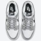 Nike Dunk Low Silver Cracked Leather Shimmer DO5882-001 Nike Dunk Low Silver Cracked Leather Shimmer DO5882-001