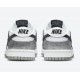 Nike Dunk Low Silver Cracked Leather Shimmer DO5882-001 Nike Dunk Low Silver Cracked Leather Shimmer DO5882-001