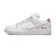NIKE DUNK LOW SB 'BE TRUE' 2022 DR4876-100 NIKE DUNK LOW SB 'BE TRUE' 2022 DR4876-100