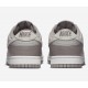 Nike Dunk Low For FW22 2022 FD0792-001