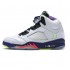 Nike Air Jordan 5 Alternate Bel-Air DB3335-100