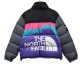 INVINCIBLE x The North Face Down Jacket