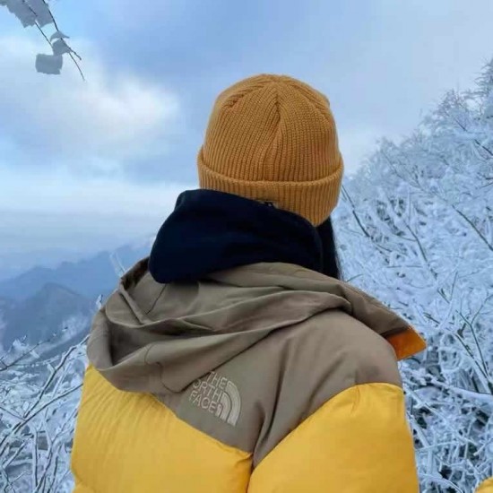 The North Face down jacket yellow TNF 22SS 1996Nuptse 4NCH The North Face down jacket yellow TNF 22SS 1996Nuptse 4NCH