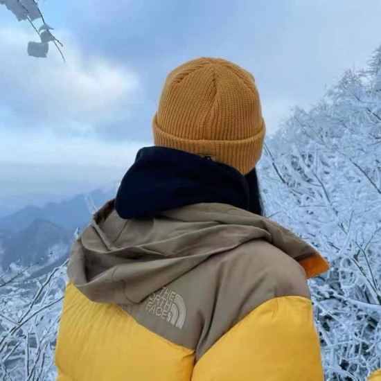 The North Face down jacket yellow TNF 22SS 1996Nuptse 4NCH