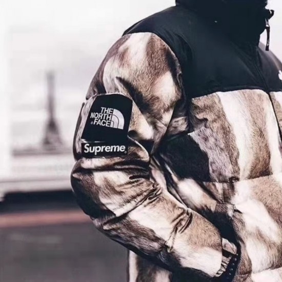 Supreme x The North Face horse hair down jacket Supreme x The North Face horse hair down jacket