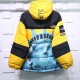 Supreme X The North Face Liberty goddess down jacket Supreme X The North Face Liberty goddess down jacket