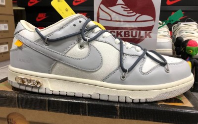 DM1602-105 Kickbulk Sneaker Camera 