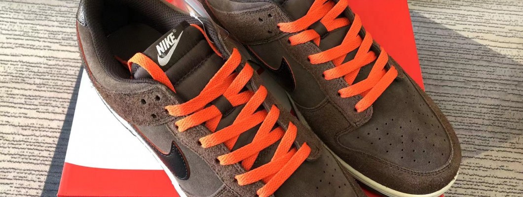 NIKE DUNK LOW RETRO PREMIUM 'BAROQUE BROWN' 2022 DQ8801-200 Kickbulk Sneaker shoes reviews Camera photos NIKE DUNK LOW RETRO PREMIUM 'BAROQUE BROWN' 2022 DQ8801-200 Kickbulk Sneaker shoes reviews Camera photos