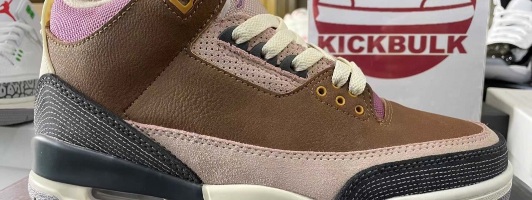 AIR JORDAN 3 RETRO SE 'WINTERIZED' 2022 DR8869-200 Kickbulk Sneaker shoes reviews Camera photos